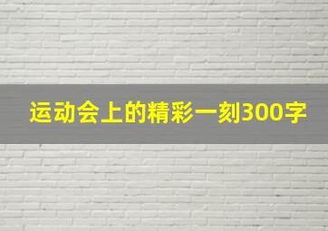 运动会上的精彩一刻300字