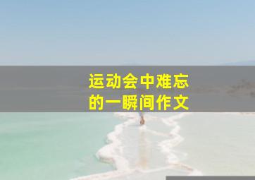 运动会中难忘的一瞬间作文