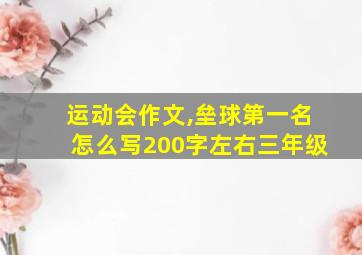 运动会作文,垒球第一名怎么写200字左右三年级