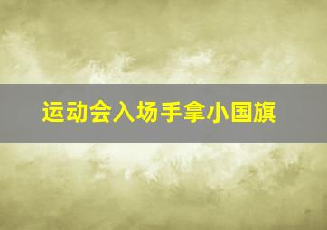 运动会入场手拿小国旗