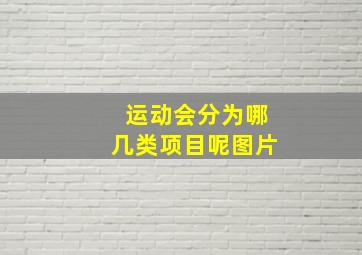 运动会分为哪几类项目呢图片