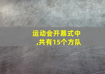 运动会开幕式中,共有15个方队