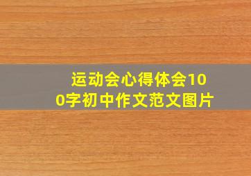 运动会心得体会100字初中作文范文图片