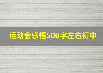 运动会感悟500字左右初中