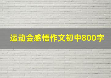 运动会感悟作文初中800字