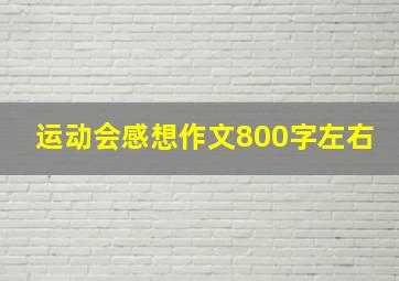 运动会感想作文800字左右