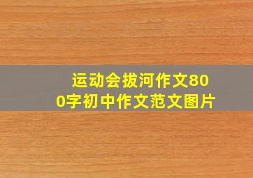 运动会拔河作文800字初中作文范文图片