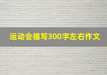 运动会描写300字左右作文