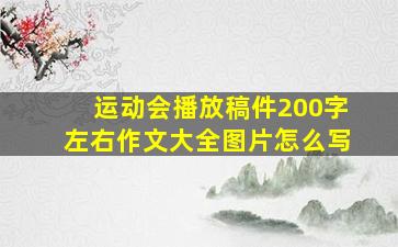 运动会播放稿件200字左右作文大全图片怎么写