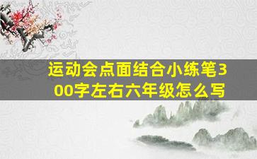 运动会点面结合小练笔300字左右六年级怎么写