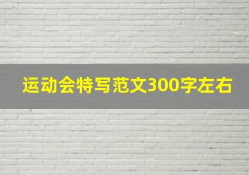 运动会特写范文300字左右