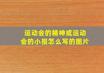 运动会的精神或运动会的小报怎么写的图片