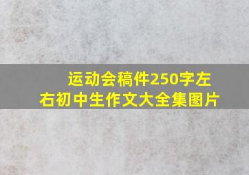 运动会稿件250字左右初中生作文大全集图片