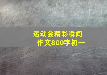 运动会精彩瞬间作文800字初一