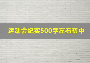 运动会纪实500字左右初中