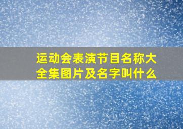 运动会表演节目名称大全集图片及名字叫什么