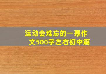 运动会难忘的一幕作文500字左右初中篇