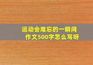 运动会难忘的一瞬间作文500字怎么写呀