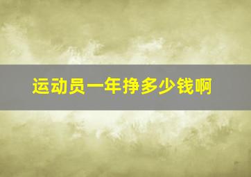 运动员一年挣多少钱啊