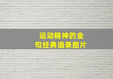 运动精神的金句经典语录图片