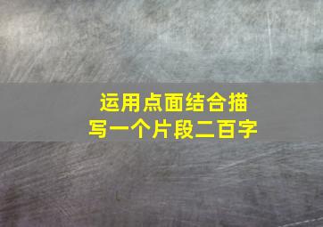 运用点面结合描写一个片段二百字