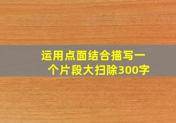 运用点面结合描写一个片段大扫除300字