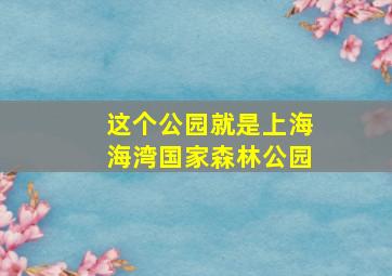 这个公园就是上海海湾国家森林公园