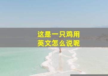 这是一只鸡用英文怎么说呢