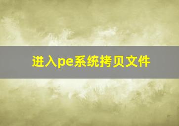 进入pe系统拷贝文件