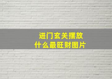 进门玄关摆放什么最旺财图片