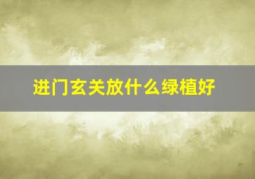 进门玄关放什么绿植好