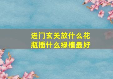 进门玄关放什么花瓶插什么绿植最好