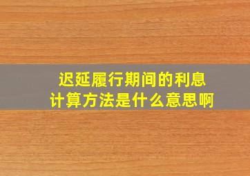 迟延履行期间的利息计算方法是什么意思啊