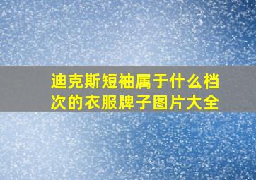 迪克斯短袖属于什么档次的衣服牌子图片大全