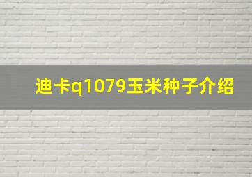 迪卡q1079玉米种子介绍