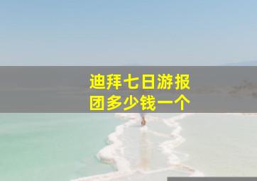 迪拜七日游报团多少钱一个