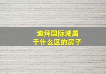 迪拜国际城属于什么区的房子