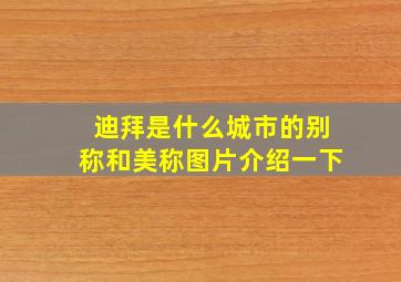 迪拜是什么城市的别称和美称图片介绍一下