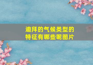 迪拜的气候类型的特征有哪些呢图片