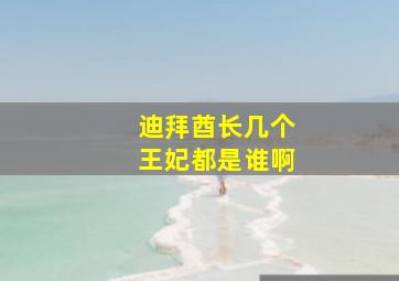 迪拜酋长几个王妃都是谁啊