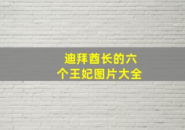 迪拜酋长的六个王妃图片大全