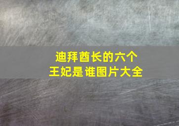 迪拜酋长的六个王妃是谁图片大全