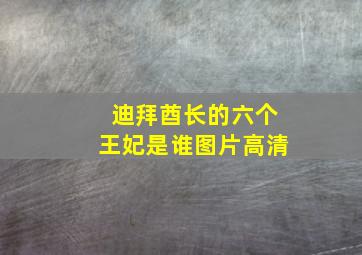 迪拜酋长的六个王妃是谁图片高清