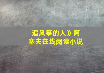 追风筝的人》阿塞夫在线阅读小说