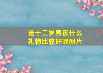 送十二岁男孩什么礼物比较好呢图片