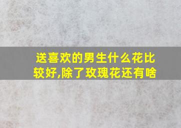 送喜欢的男生什么花比较好,除了玫瑰花还有啥