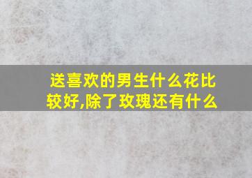 送喜欢的男生什么花比较好,除了玫瑰还有什么