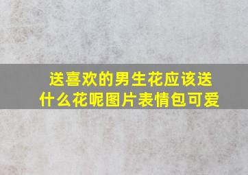 送喜欢的男生花应该送什么花呢图片表情包可爱