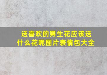 送喜欢的男生花应该送什么花呢图片表情包大全