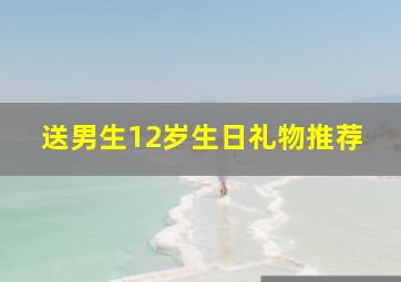 送男生12岁生日礼物推荐